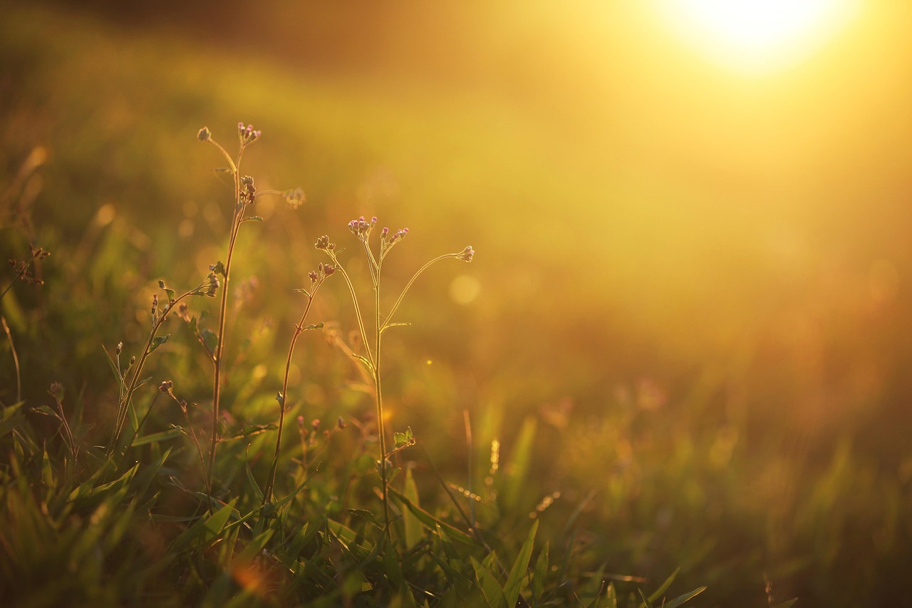 sunset-6645036_1280