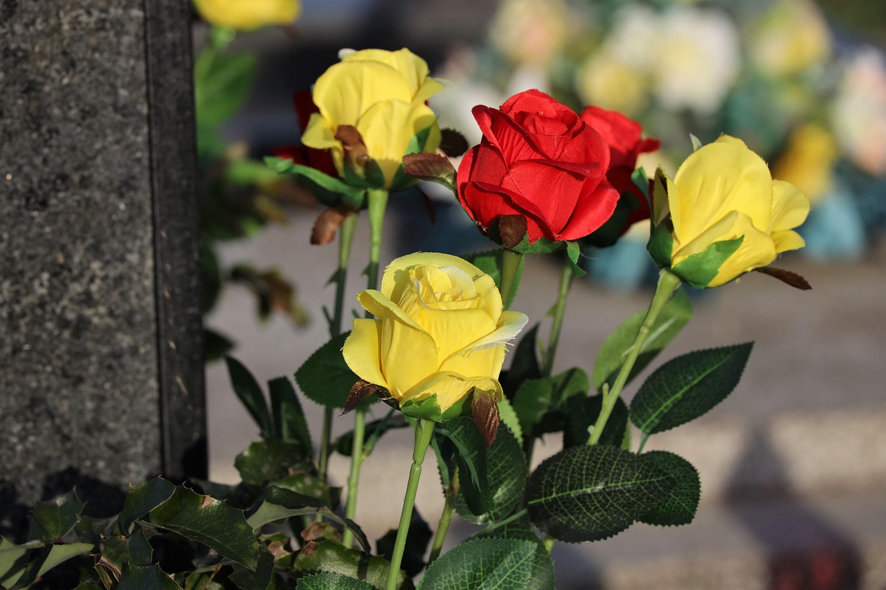 red-and-yellow-roses-7413724_1280