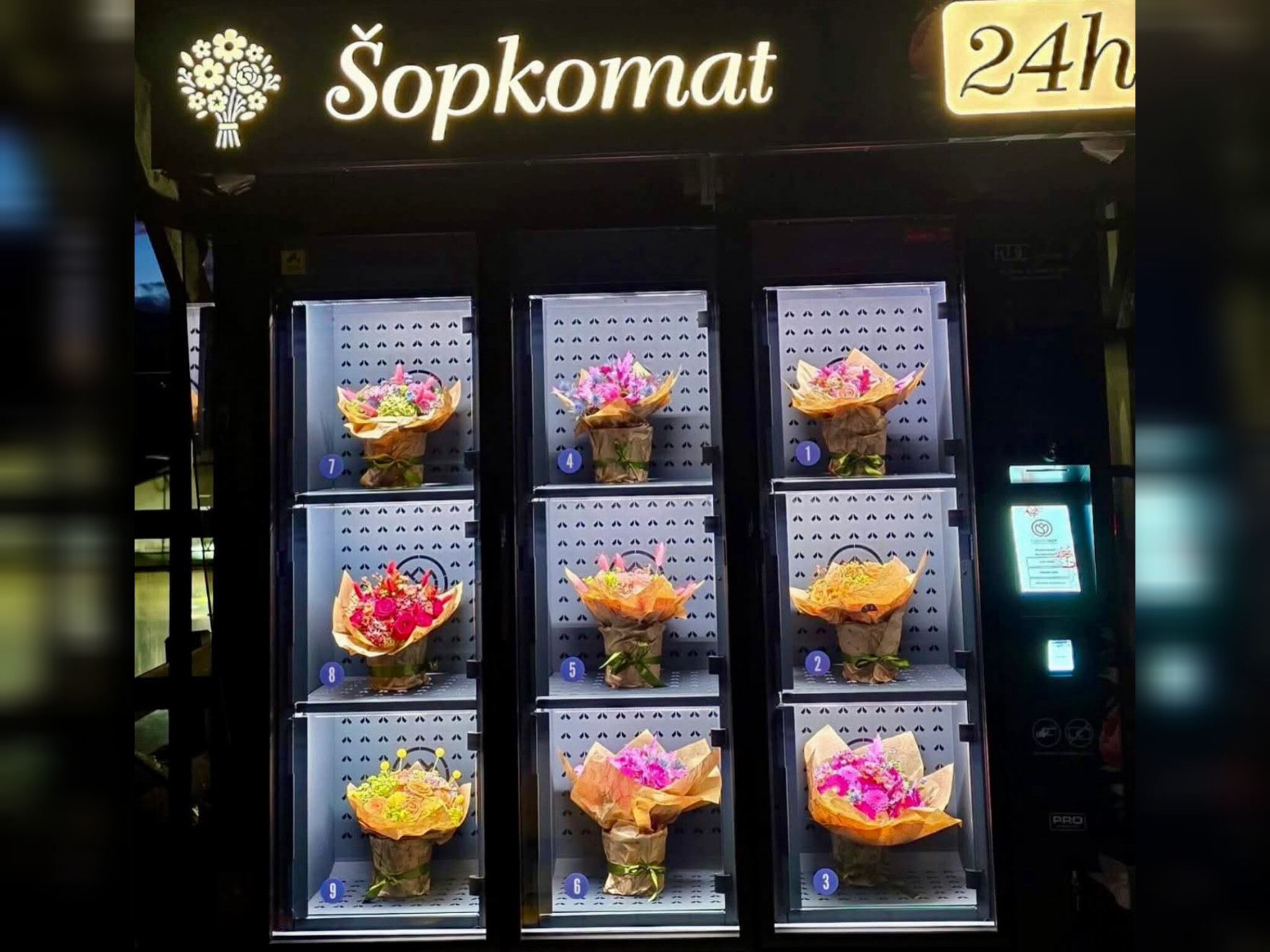 InShot_20251028_171527663 InShot_20251028_171527663