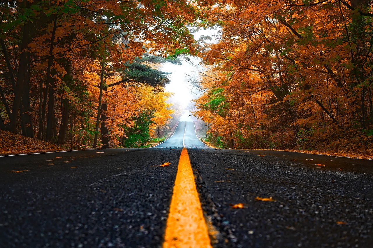 autumn-1758194_1280