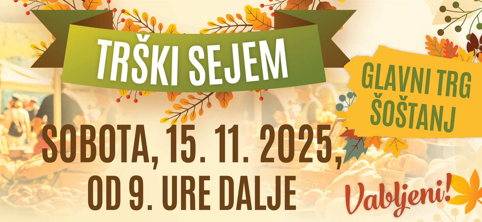 574329647_1230246722478074_6330965980813621644_n