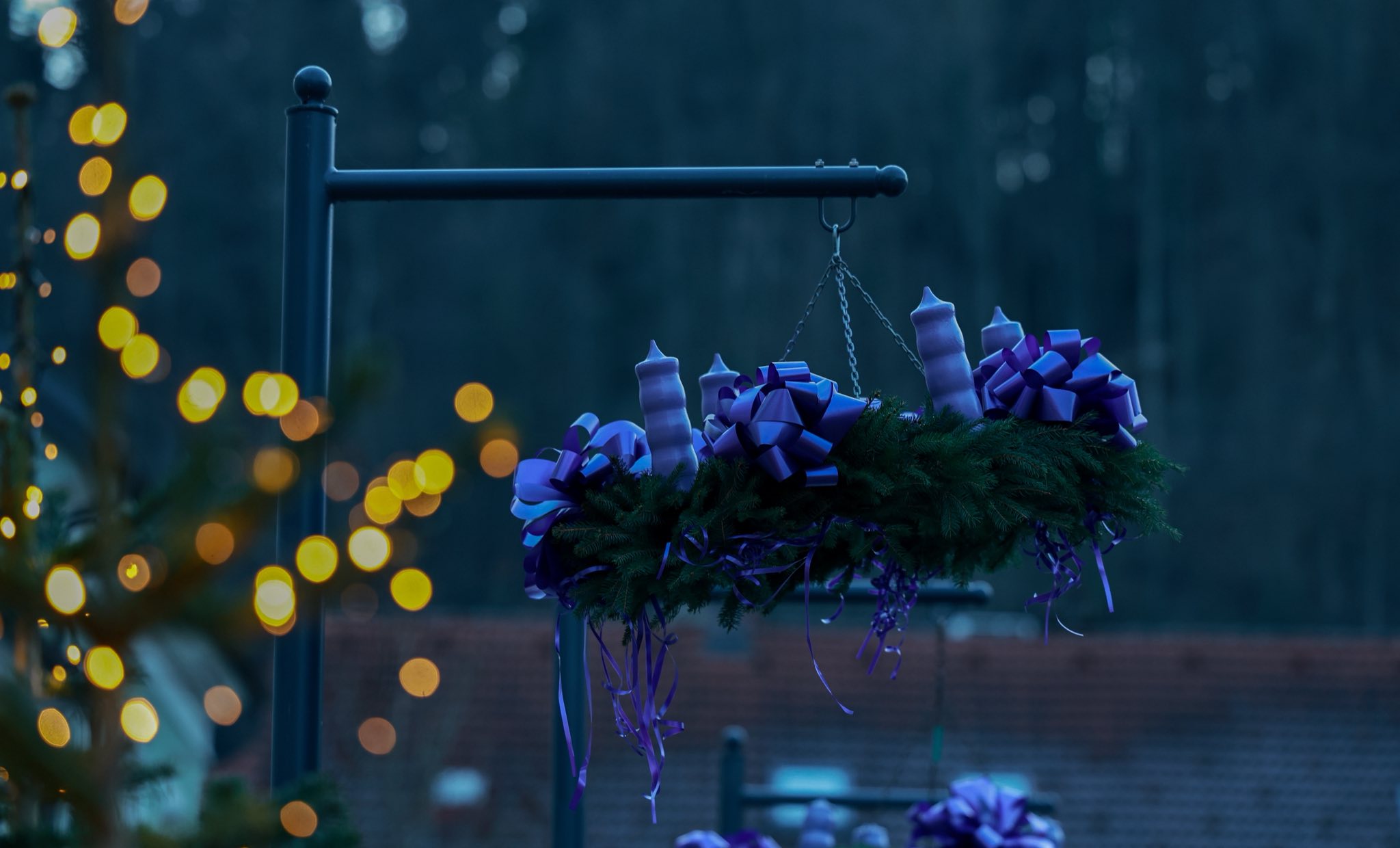 591708891_1257838139718932_8623152881933690786_n