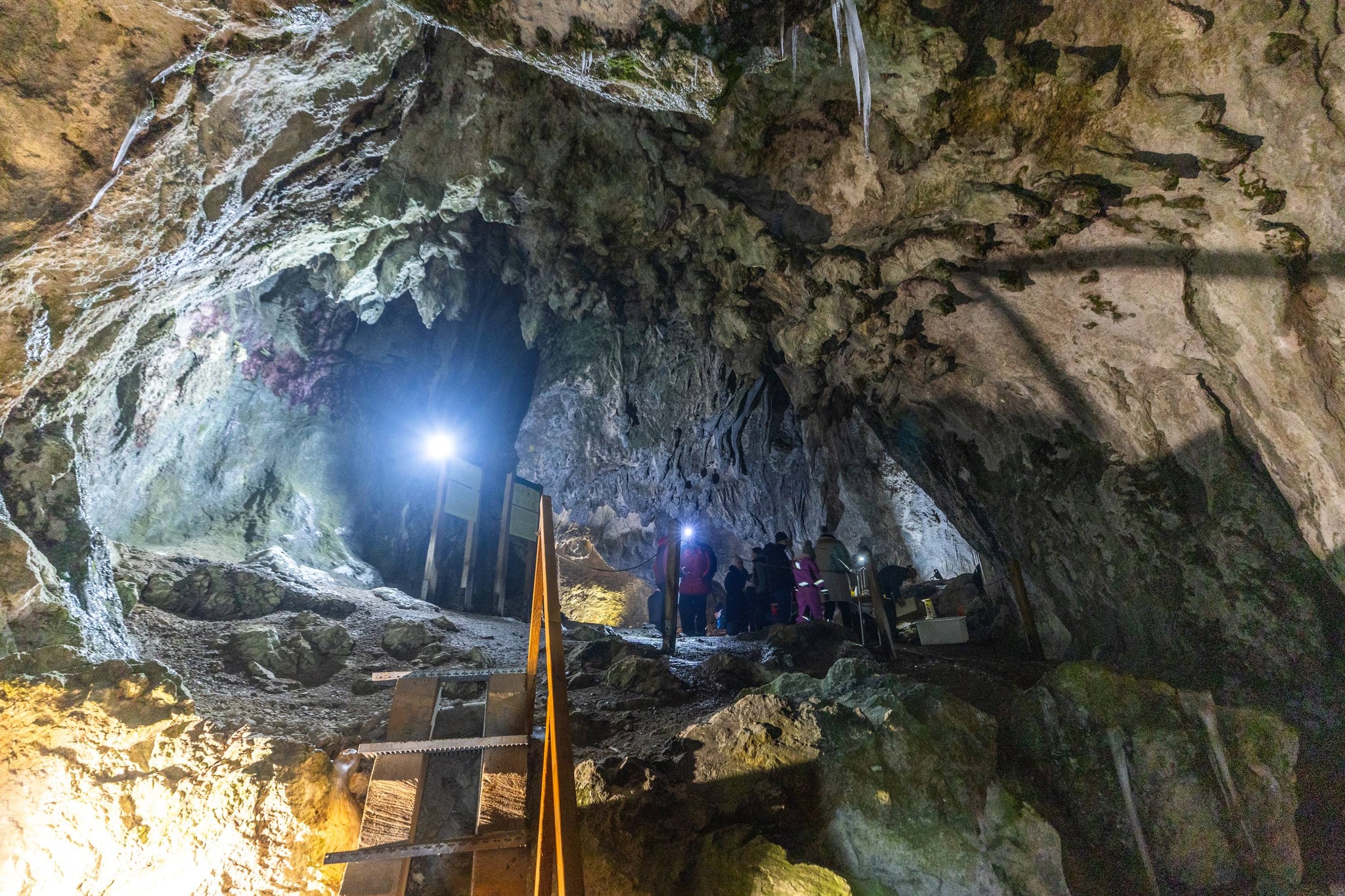 613562143_1289513479884731_3665387200556978681_n