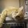 cat-4988407_1280