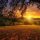 nature-3125912_1280